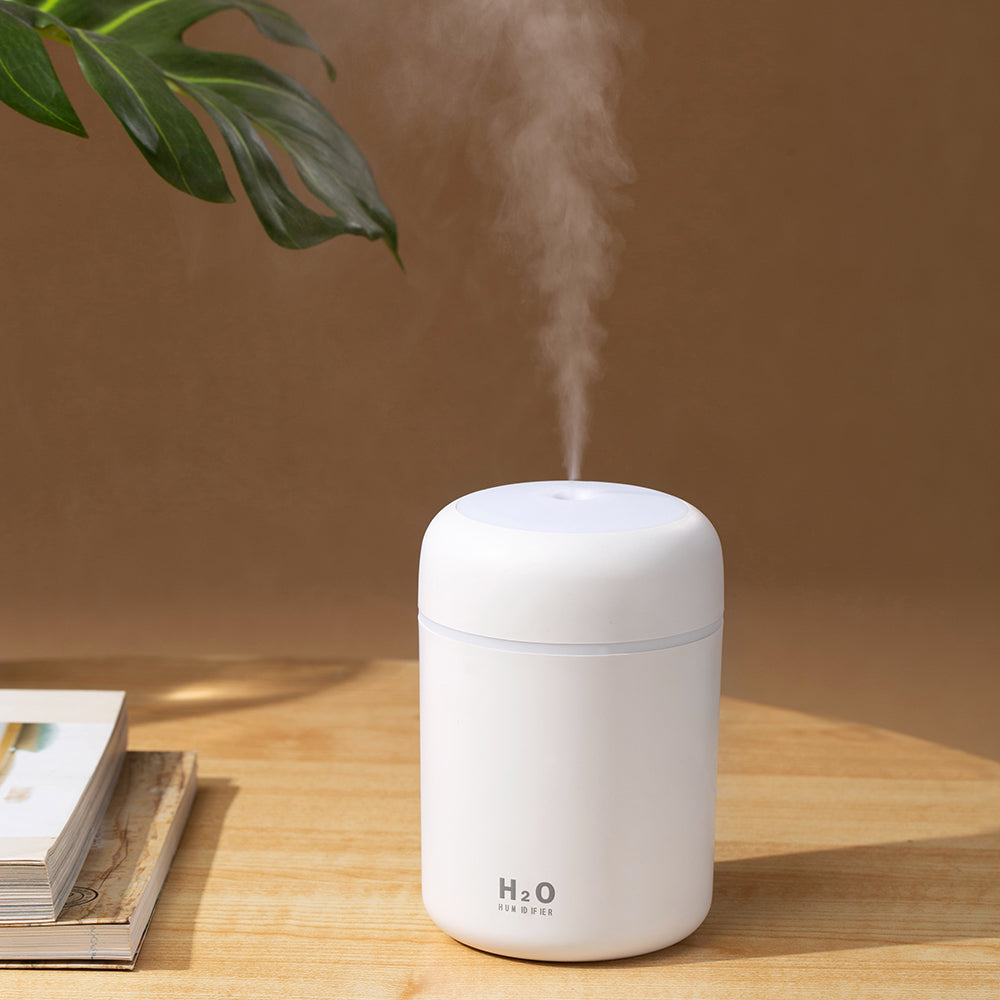 Portable LED Humidifier